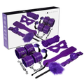 EXPERIENCE - BDSM FETISH KIT PURPLE SERIES - intimoo