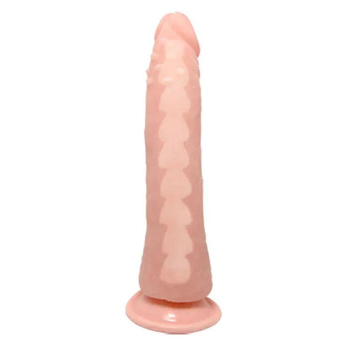 BAILE - FIT REALISTIC TPR VERTEBRATE 20.1 CM - intimoo